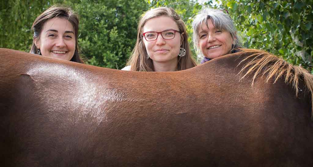 Etude scientifique sur la thérapie avec le cheval
